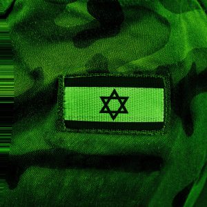 A Silicon Valley VC Says He Got the IDF Starlink Access Within Days of October 7 Attack